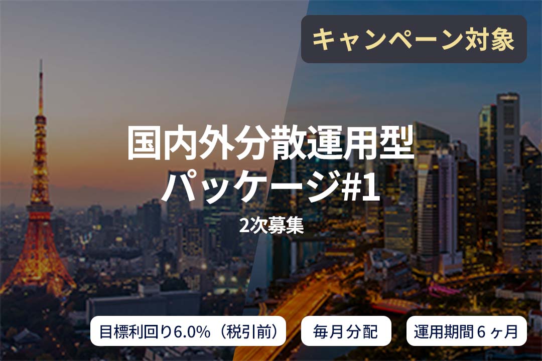 【毎月分配】国内外分散運用型パッケージ#1(2次募集)