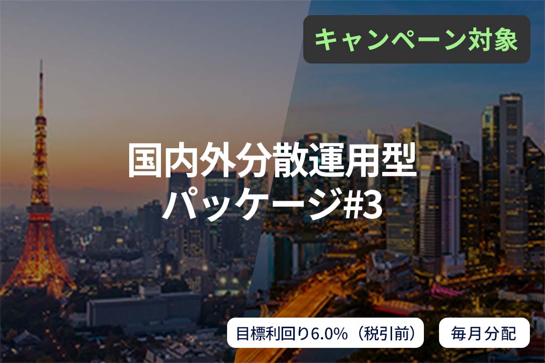 【毎月分配】国内外分散運用型パッケージ#3