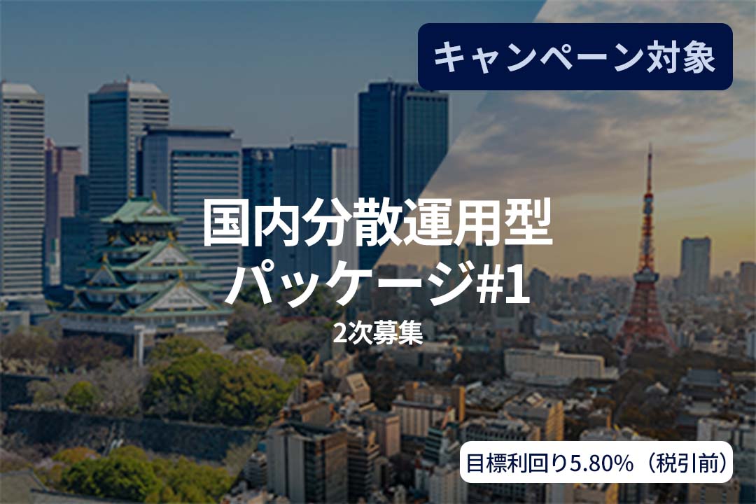 国内分散運用型パッケージ#1(2次募集)