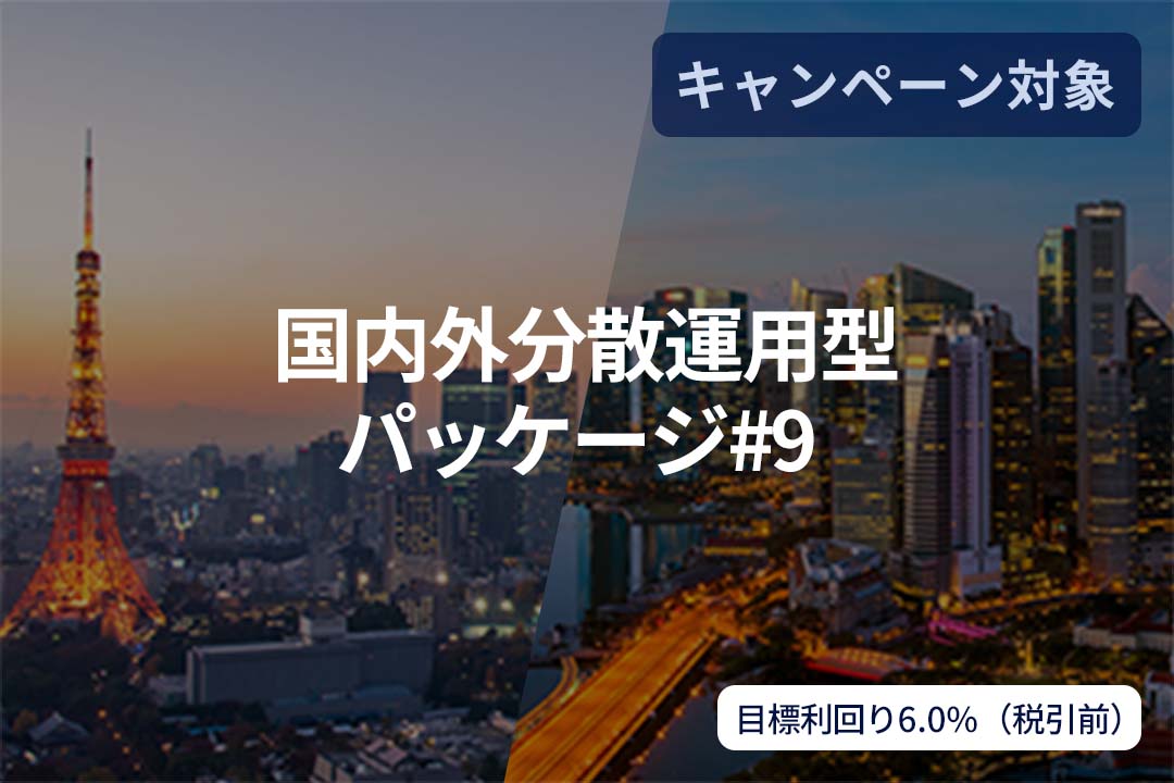 国内外分散運用型パッケージ#9