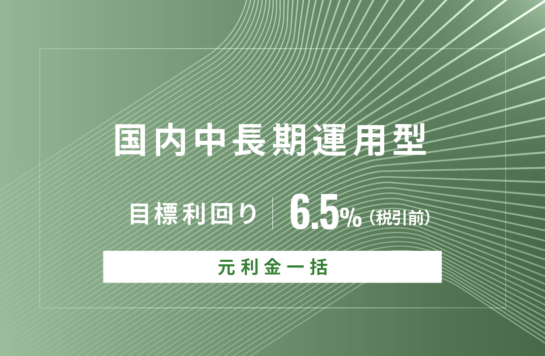 【元利金一括返済】国内中長期運用型ID907